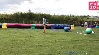 Treibball Summer Fun