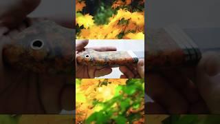 Нож "ГАЛЕОН" #заточканожа #заточканожей #видео #ножи #нож #dudkinnknives