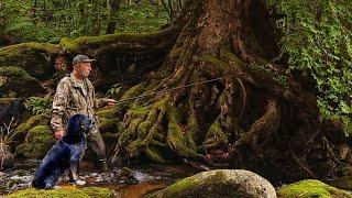 No Big Fish! Mountain fishing in the Primorsky Ussuri taiga.