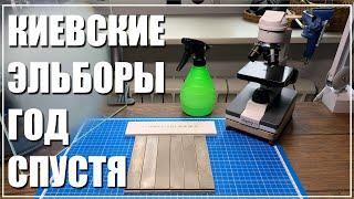 Киевские эльборы. Год спустя.