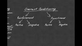 BEHAVIORISM