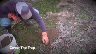 EASY HOW TO - Basic Dirt Hole Trapping Set