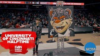 Bearcat Mascot Painting | University Of Cincinnati Halftime | Evan Struck