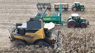 NEW HOLLAND CR8.90 am Mais dreschen / FENDT 828 mit HAWE Überladewagen / AGRARSERVICE KOCH / 4K