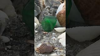 Sea Glass  Beach walk! #seaglass #beach #florida