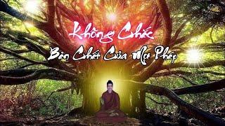 Không Chắc – Bản Chất Của Mọi Pháp | Thiền Sư Ajahn Chah |