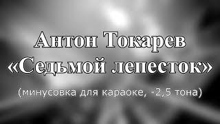 Антон Токарев — "Седьмой лепесток" (караоке из минусовки, -2,5 тона)