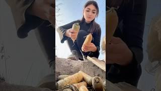 Village Life: Uyghur Girl Cooks Plov with Underground Cellar Vegetables