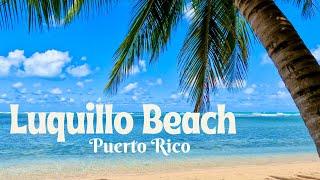 EXPLORE THE RAINFOREST AND LUQUILLO BEACH, PUERTO RICO *PLUS Snorkeling ICACOS Island!