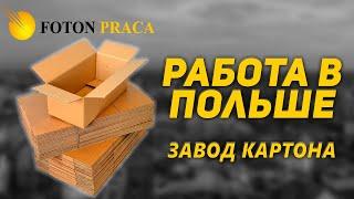 Работа в Польше для всех.  Завод картона. Збоншинь.