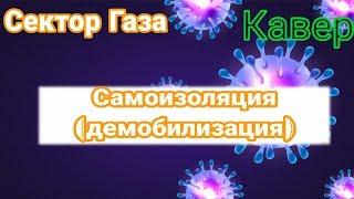 Отыграл на баяне!!Самоизоляция(демобилизация) - Сектор газа/Максим Кузнецов