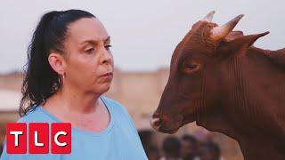 Kim Buys a Cow | 90 Day Fiancé: Happily Ever After?