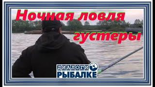 Диалоги о рыбалке - 025 / Ночная ловля густеры!