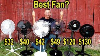 Best Fan? Let’s Find Out!