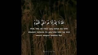 Ayat Kursi Ust. Hannan Attaki #Qur'an #Ayatkursi #ngaji #belajarngaji #hananattaki #usthannanattaki