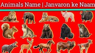 Animals name for kids || Names of Jungle Animals ||  janvaron ke naam ||