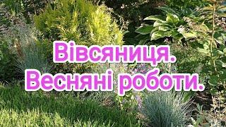 Бордюр з вівсяниці. Стрижка та омолодження. Приводим в порядок квітник. #дачныйагроном #вівсяниця