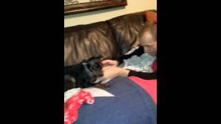 Scaring the Pee out of my dog
