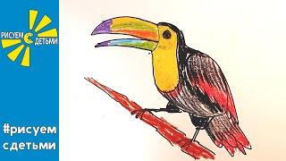 Как нарисовать РАДУЖНОГО ТУКАНА. Рисуем с детьми экзотических птиц. How to draw a TOUCAN.