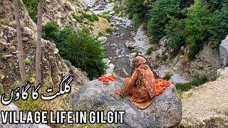 Village Life in Gilgit Baltistan | Bargo Pine  | Village Food Secrets | Pakistan Documentary