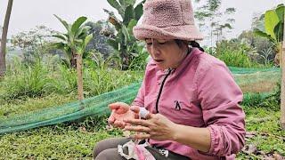 Losing focus while thinking about her husband, Ms. Thu cut her hand.