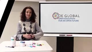 Meet the two of the OE Global 2019 Chairs