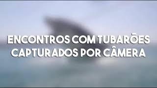 Silver Shark 67 - O Terror das Listas