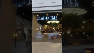 AFTER TREE DESSERT CAFE #cafe #coffeeshopambience #cafeshop #shorts #short #shortvideo #ambience