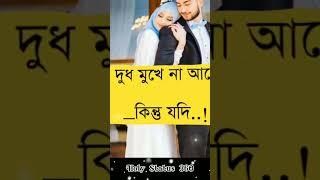 স্বামী স্ত্রী সহবাসের ইসলামিক নিয়ম..! #shorts #status #islam 