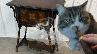 My Cat won't stop Smoking