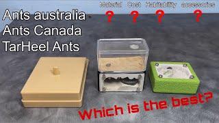 Breakdown of the most popular ant products to see which is the best.