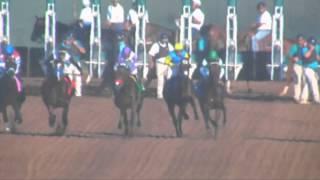 Nyquist Del Mar Futurity