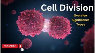 Cell Division Unveiled: From Growth to Reproduction, The Intricate Stages of Cell Division Revealed