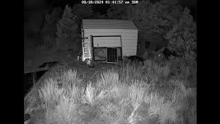 Skinwalker Caught On Security Camera?