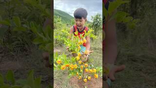 Survival Skills: SMART idea and USEFUL with single mom #bushcraft #camping #outdoors #useful #idea