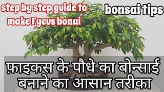 फ़ाइकस के पौधे का बोन्साई बनाने का आसान तरीका | how to make Bonsai plants #bonsai #plants