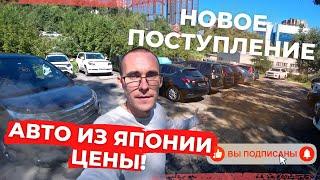 Новая подборка авто с аукционов Японии для наших клиентов. ALPHARD, NOAH, VEZEL, OUTLANDER PHEV 