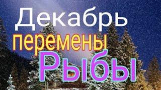 РЫБЫ ДЕКАБРЬ 2019г. 12 ДОМОВ ГОРОСКОПА ТАРО