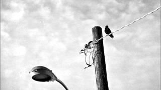 Marshall Bomar - Ovenbird