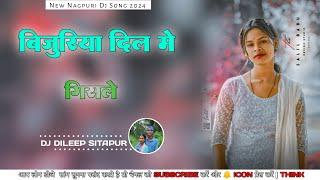 Bijuliya Are Dil Me // Girai Dele  // New Nagpuri Dj Song 2024 // Dj Dileep Sitapur //