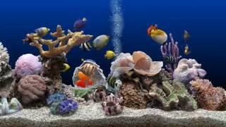  Marine Aquarium  UHD Screensaver  Blue Ocean  60fps 