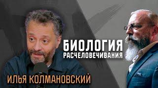 Илья Колмановский: Биологов религия интересует как мозговой феномен