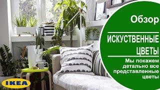 Искусственные цветы в икеа ! Мы покажем все цветы представленные в ikea