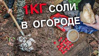 Вызов 02  1кг соли в огороде