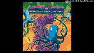 Vantara Vichitra Gathering- Mixed By Psilocinsoundz