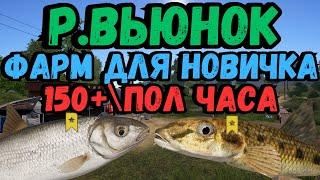 ФАРМ СЕРЕБРА ДЛЯ НОВИЧКА В РР4 ● Р. Вьюнок / Русская Рыбалка 4 | РР4