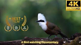 Birds of North India | An award winning documentary on birding