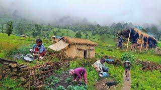 This is Himalayan Nepali Village Life || Daily Activities people in Rainy Season mountain village