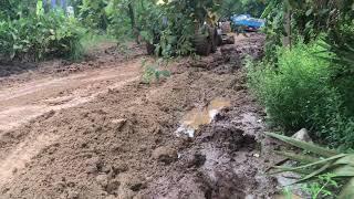 Roller Dump truck Stuck In Deep & Recovery 51