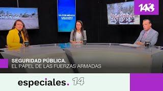 Especiales 14  | Seguridad pública. El papel de las fuerzas armadas.